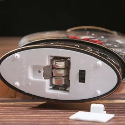 Boule à Neige Ancienne