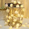 Guirlande Lumineuse - Motif Roses Blanches