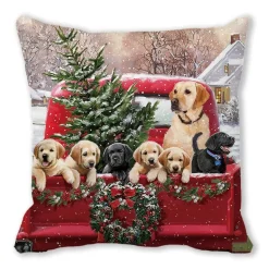 Housse De Coussin Rouge